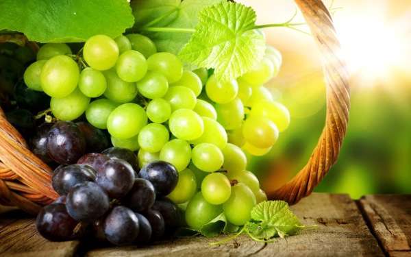 Рецепты вкусных заготовок из винограда на зиму: вино, компот, сок, желе и даже маринованный виноград