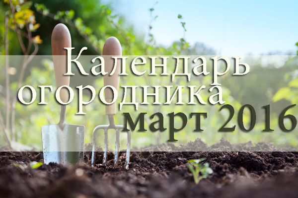 Лунный календарь огородника и садовника на март 2016 года