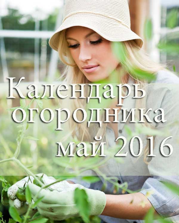 Лунный календарь огородника и садовника на май 2016 года