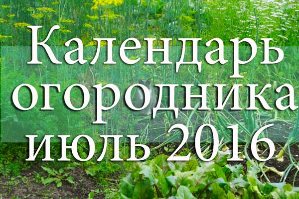 Лунный календарь огородника и садовника на июль 2016 года