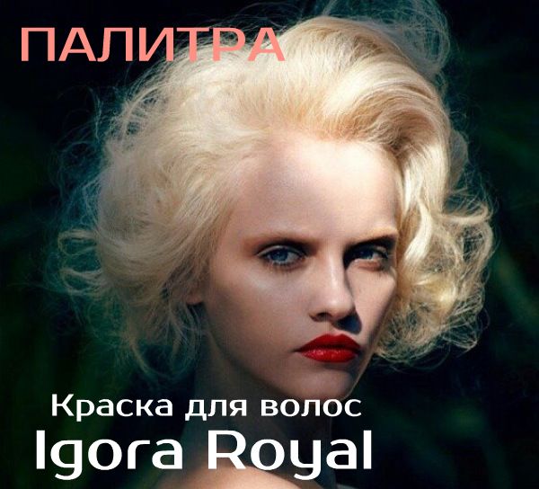 Краска для волос Igora Royal Schwarzkopf Professional. Палитра